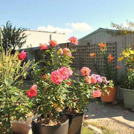 Cooma Cottage Esterno foto