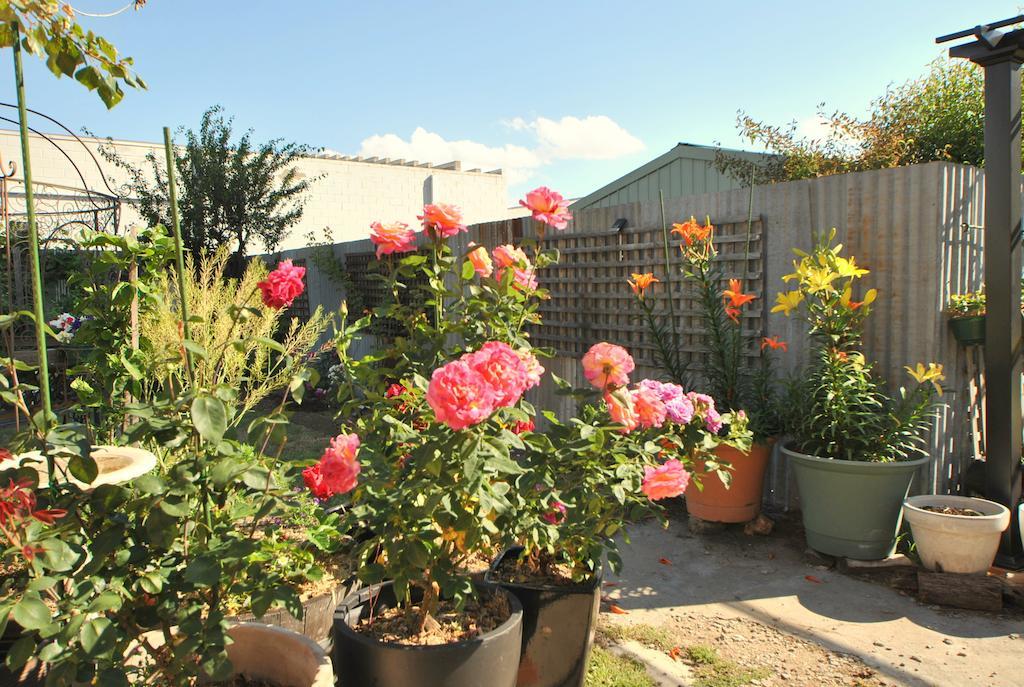 Cooma Cottage Esterno foto